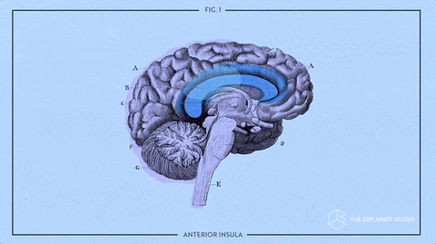 Animation Brain GIF by The Explainer Studio