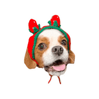 Dogs Love Sticker