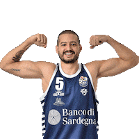 Basketball Basket Sticker by Dinamo Sassari