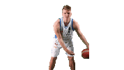 Basketball Sticker by Dinamo Sassari