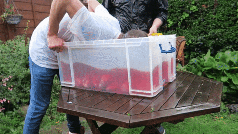 Jackass Lol GIF by Where's My Challenge?