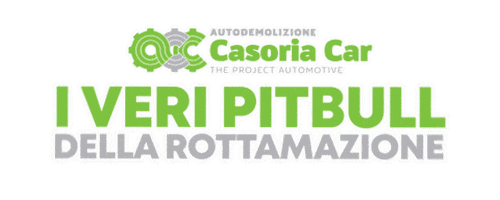 casoriacar giphyupload wow car auto Sticker