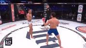 GIF by Bellator