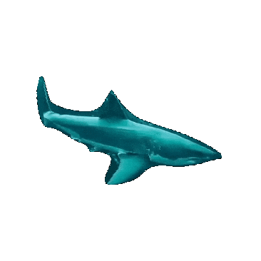 Sanjosedivers giphygifmaker shark dive scuba Sticker