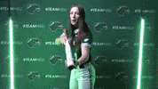 Softball GIF by RiverHawk Sports