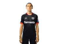 Bayer 04 Werkself Sticker by Bayer 04 Leverkusen