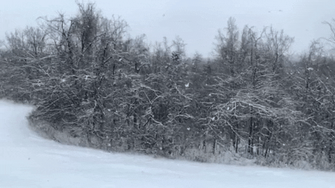 ClarionLedger giphygifmaker snow winter nashville GIF