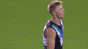 Aussie Rules Celebration GIF by Port Adelaide FC