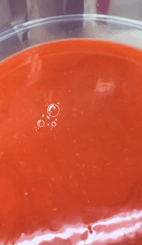 EmzBlendz giphygifmaker giphygifmakermobile emzblendz GIF