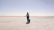 Road Trip Reaction GIF by Bay Ledges