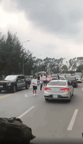 yj_jane giphyupload GIF