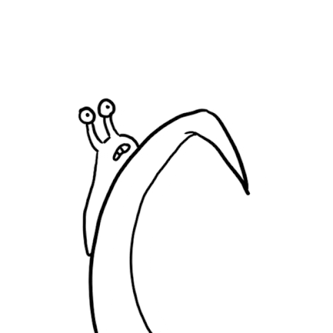 united states submission GIF by The Savannah .GIF Festival