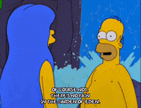 homer simpson GIF