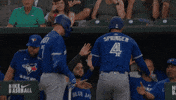 Blue Jays Baseball GIF by Toronto Blue Jays
