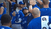 Blue Jays Baseball GIF by Toronto Blue Jays