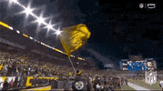 National Football League GIF by NFL