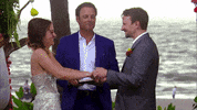 bachelorinparadise kiss season 4 wedding episode 2 GIF