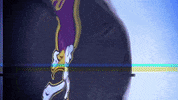 North Carolina Pirate GIF by ECU Athletics