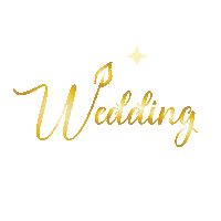 EventsPlannerDR bouquet weddingdress destinationweddings eventsplanner Sticker