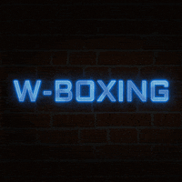 Boksen GIF by Wboxing