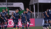 New York City Fc Celebration GIF by NYCFC