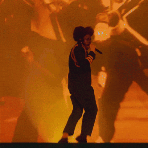 Tyler The Creator Tour GIF by Respective