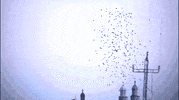 GIF by Beast Patrol