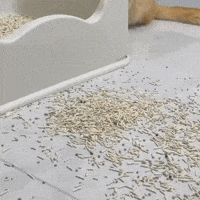 Arena Alfombra GIF by Cómpralo en Casa