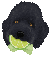 Lyme Disease Dog Sticker