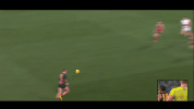 afl GIF by Adelaide Crows