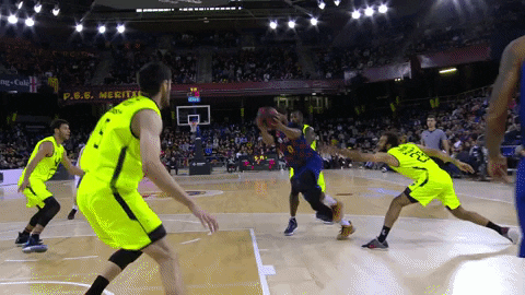 Fc Barcelona Basketball GIF by ACB