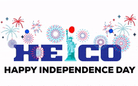 Independence GIF by HEICO