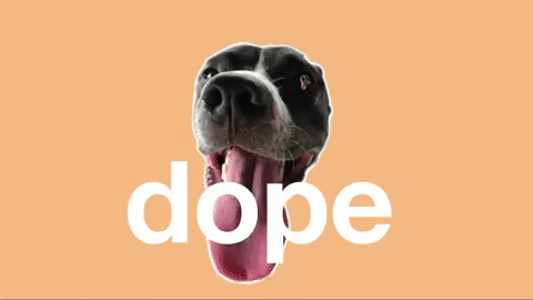 dog dope GIF by Best Friends Animal Society