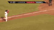 Baseball GIF by Fresno Grizzlies