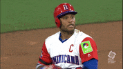 world baseball classic wbc GIF by MLB