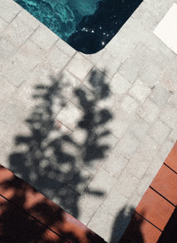 Pool Portrait GIF by Chris