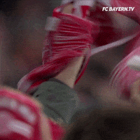 celebrar come on GIF by FC Bayern Munich