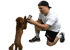 Drink Beer Sticker by Brouwerij Frontaal