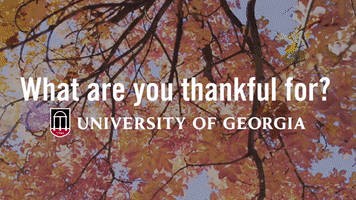 thanksgiving uga GIF by University of Georgia