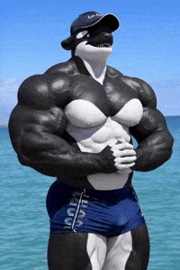 Gay Ocean GIF by Database數據