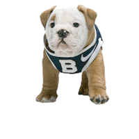 Butler Bulldogs Puppy Sticker by Butler University