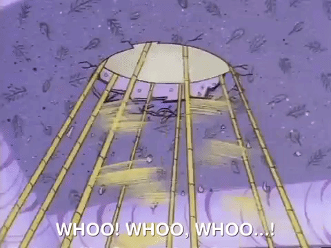 nickrewind giphydvr nicksplat angry beavers giphyab010 GIF