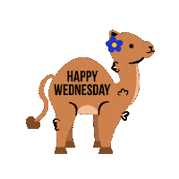 Wednesday Morning Sticker by Jessica Lau