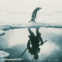 Penguin GIF