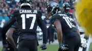 2018 Nfl Football GIF by NFL