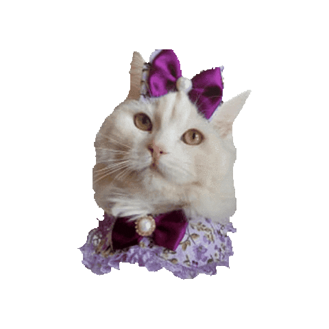 Cat Sticker by ogato_design