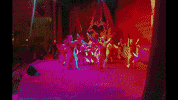 GIF by Almundo
