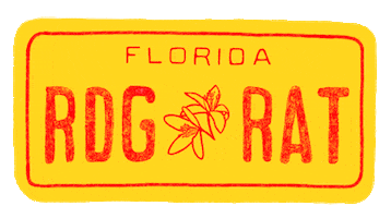 License Plate Sticker