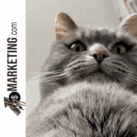 Surpised What GIF by FlySMarketing.com