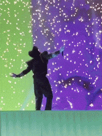Tyler The Creator GIF by Respective